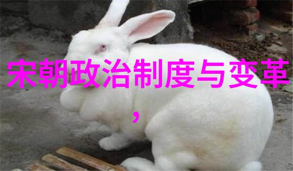 杜撰一词的来历