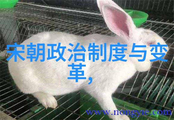 宰相系列七十七天宰相北宋李纲简介